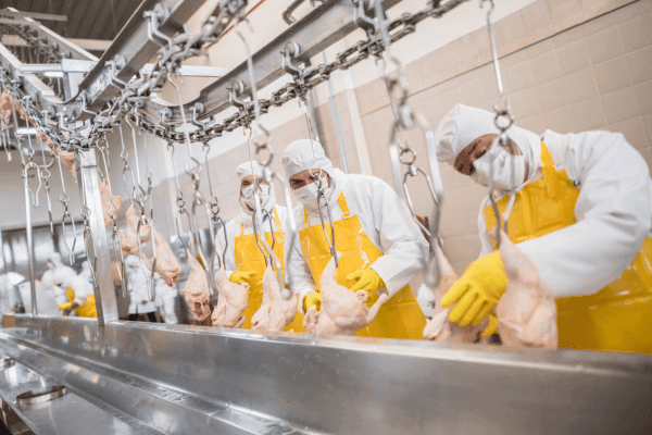 lavanderia alimentacion carnicas